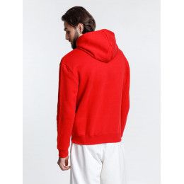 Худи унисекс Phoenix