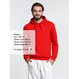 Худи унисекс Phoenix