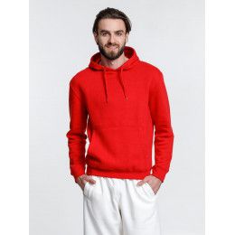 Худи унисекс Phoenix