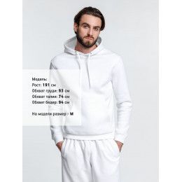 Худи унисекс Phoenix