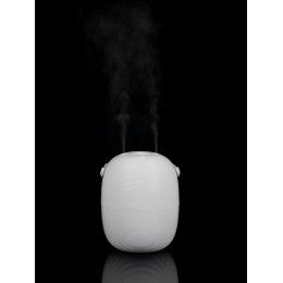 Переносной увлажнитель-ароматизатор PH14