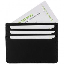 Чехол для карт Alaska