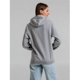 Толстовка с капюшоном Snake II серый меланж